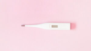 temperatura y ovulacion los mejores termometros