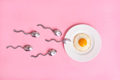 curcuma piperina calidad esperma ovulo