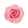 Métodos para monitorizar el moco cervical y conocer tu fertilidad 🌸
