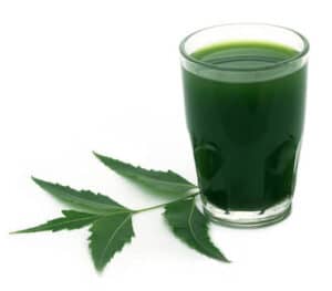 fertility green juice