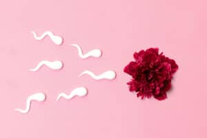 télétest de grossesse séminal endométrial microbiote vaginal