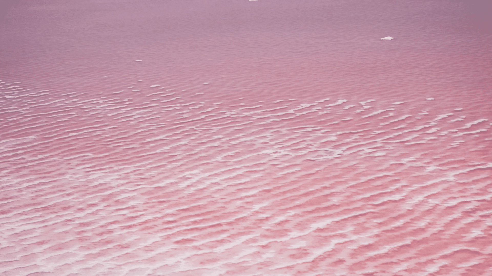 agua alcalina fertilidad